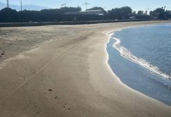 Sahile gelen vatandaşlar şoke oldu! ‘Şaşırdık, neden olduğunu bilmiyoruz’