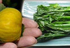 Bitmeyen halsizliğin sebebi buymuş! Kurusu yaşından daha çok demir içeriyor