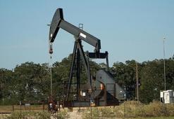 ABD basınından petrol iddiası! 'Venezuela konusunda temkinliler'