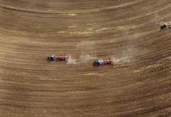 Tarım sayımının yüzde 90'ı tamamlandı