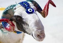 KURBAN BAYRAMI 2026 | Kurban Bayramı ne zaman, ne zamana denk gelecek? Kurban Bayramı tatili kaç gün olacak?