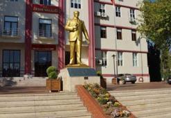 Aydın'da 'Hayır amaçlı domuz eti dağıtıldı' iddiası! Valilikten açıklama geldi