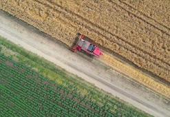 Tarıma dayalı projelerin tamamlanma tarihi belli oldu