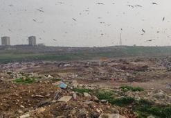 Katı atık tesisinde vahşi depolama yapan Bursa Büyükşehir Belediyesi’ne 1.8 milyon TL ceza