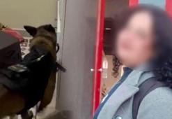 17 yaşındaki Eylül başından vurulmuştu! Yaralayan kişi ile ilgili şok detay