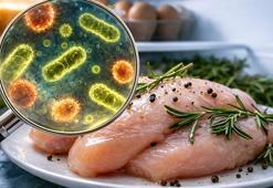 Çiğ tavuğu bekletme süresi bu kadarmış! Çapraz bulaşma riski var, derecesi kritik