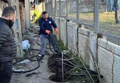 Manisa'da 'rögarda bebek cesedi gördüm' ihbarı ekipleri harekete geçirdi