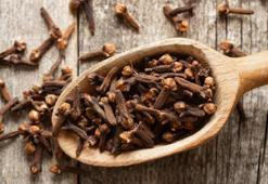 Doğanın en güçlü savaşçılarından biri! Diş ağrısından sindirime kadar etkili