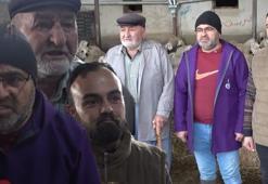 İngiltere’yi bıraktı, köyüne dönüp aile mesleğine başladı: Hiçbir iş benim bu sevdamı gidermedi