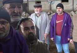 İngiltere’yi bıraktı, köyüne dönüp aile mesleğine başladı: Hiçbir iş benim bu sevdamı gidermedi