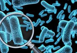 Klozetten daha kirli! Masum sanıyorduk ama bu 8 eşya bakteri yuvası çıktı