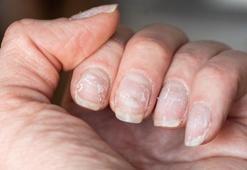 Maniküre ara verdiren kür! Evde yapılan doğal tırnak bakımı