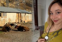 ABD'yi bırakıp Şırnak'ta köy doktoru oldu! 'Buradaki insanlardan aldığım dualar ruhumu besledi'