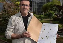 İzmir'de ilk kez görüldü! Türkiye'de sayı 8'e yükseldi