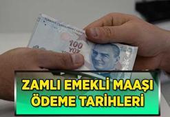 % 12,19 ZAM KESİNLEŞTİ! 2026 OCAK ZAMLI SSK, BAĞ-KUR EMEKLİ MAAŞI ÖDEME TARİHLERİ | En düşük emekli maaşı 20 bin TL olarak ödenecek mi, TBMM'de kabul edildi mi? Emekli maaş zam farkları ne zaman yatacak?