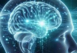 Beynimiz bu yaşlarda 'vites düşürüyor'! İşte yaşlılıktaki üç kritik dönemeç