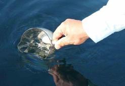 Karadeniz'de petrol sinyali! Yıllardır merak ediliyordu: Artık kesin!