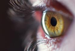 Her gün binlerce kez yapıyoruz! Peki neden göz kırparız hiç düşündünüz mü?