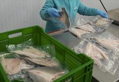 Türkiye'nin su ürünleri ihracatı 4 milyar doları aştı