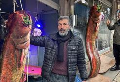 Görenler şaşkın: Ankara’da yakalandı: 2 metre uzunluğunda ve 85 kilo