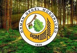 Orman kadastrosu ve 2B uygulamalarına ilişkin esaslar düzenlendi