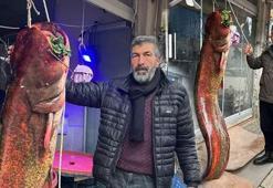 Çayırhan Gölü'nde balıkçı ağlarına 2 metrelik yayın balığı takıldı