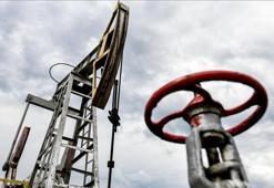 Türkiye'nin petrol ithalatı azaldı