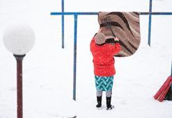 İskandinav tarzı halı yıkama tekniği! Su ve sabun yok