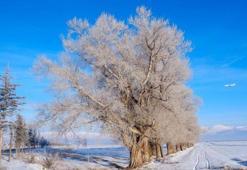 Sibirya soğukları geri döndü: Bir kent eksi 27,5 ile rekor kırdı