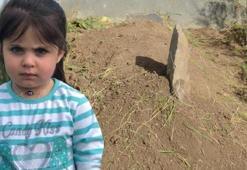 Leyla Aydemir'in ölümüne ilişkin yeni soruşturma! 4 akrabası gözaltına alındı