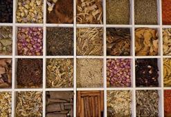 Güneydoğu Anadolu'nun hububat ve bakliyat ihracatı yüzde 3,6 arttı