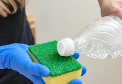 Her yerde kullanılıyor sanılıyor ama yanlış! Sirkenin zarar verdiği 5 ev alanı