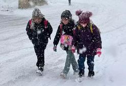 Ordu'da eğitime kar engeli! Valilik duyurdu