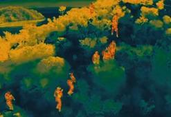 15 ilde göçmen kaçakçılığı operasyonu: 50 tutuklama