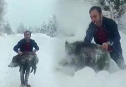 Yavru domuzu elleriyle yakalamıştı! 15 bin liralık şok ceza