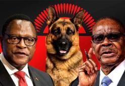 4 köpek için 80 polis! 'Kara büyü' ülkeyi karıştırdı: İki başkan, tek çıkmaz