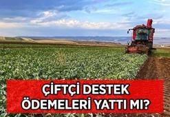 ÇİFTÇİ DESTEK ÖDEMELERİ SORGULAMA EKRANI 2026 | Tarımsal destek ödemeleri yattı mı? Çiftçi destek ödemeleri nereden, nasıl öğrenilir?