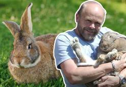 Dev tavşan Dory şeker komasına giren sahibinin hayatını nasıl kurtardı?