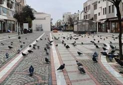 Bir kent sessizliğe büründü! Cadde ve sokaklar boş kaldı