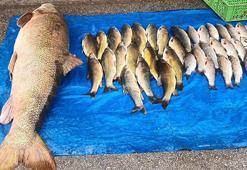 Elazığ'da oltaya takıldı: 40 yıldır bu işi yapıyorum böyle güzel balık görmedim