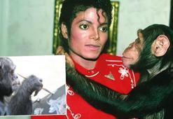 Partilerden barınağa