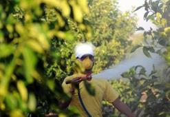 5 soruda tarımda "B-Reçete" uygulaması