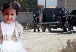 10 sokak köpeğinin saldırısında hayatını kaybetmişti! 2 belediye yetkilisi hakkında soruşturma izni