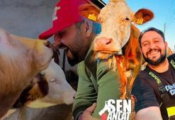 5 yıllık gelirini köyde 1,5 senede kazandı! Kurumsal hayatı bıraktı, en fazla 4 saat çalışıyor