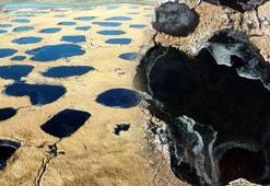 Sıcaklığın eksi 8 dereceye düştüğü Edirne'de, Tunca Nehri ve gölet buz tuttu