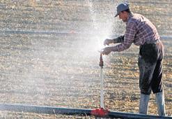 Tarımda verimi yağış belirleyecek