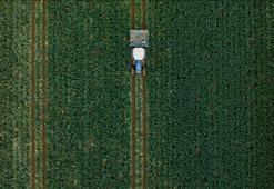 Hububatta üretim ve verim artışında yağışlar belirleyici olacak