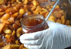 Balıkesir'de kurulan kooperatif 100 kadına gelir kapısı oldu