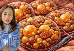 Kat kat giyiyoruz ama nafile! Vücudun gizli kaloriferi buymuş