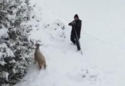 Gördüğü anda tüfeğine sarıldı! Çoban ile dron pilotu arasında aksiyon dolu anlar